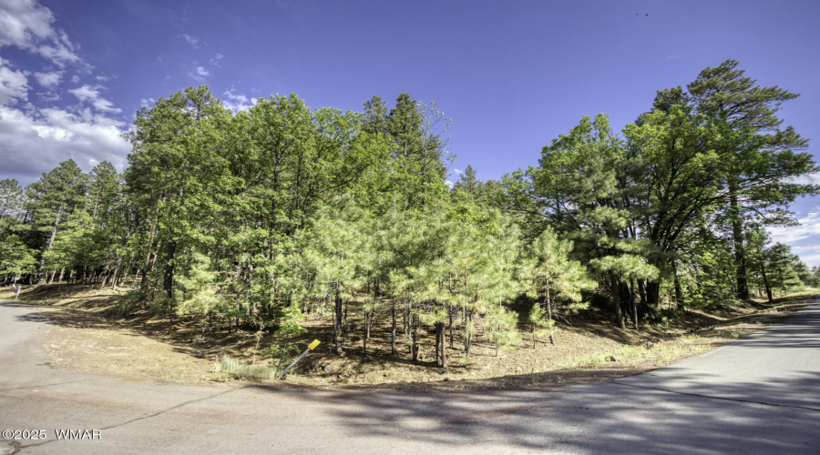 6281 Bent Oak Drive, Pinetop AZ 85935