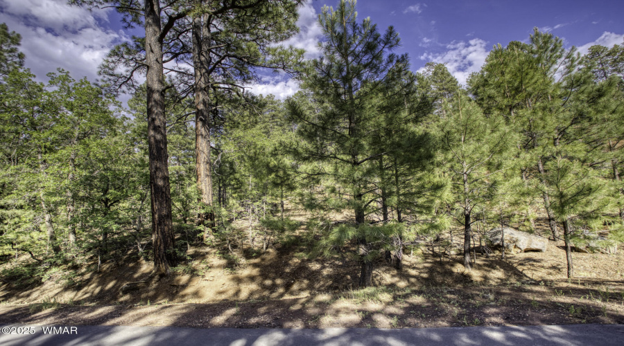 6281 Bent Oak Drive, Pinetop AZ 85935