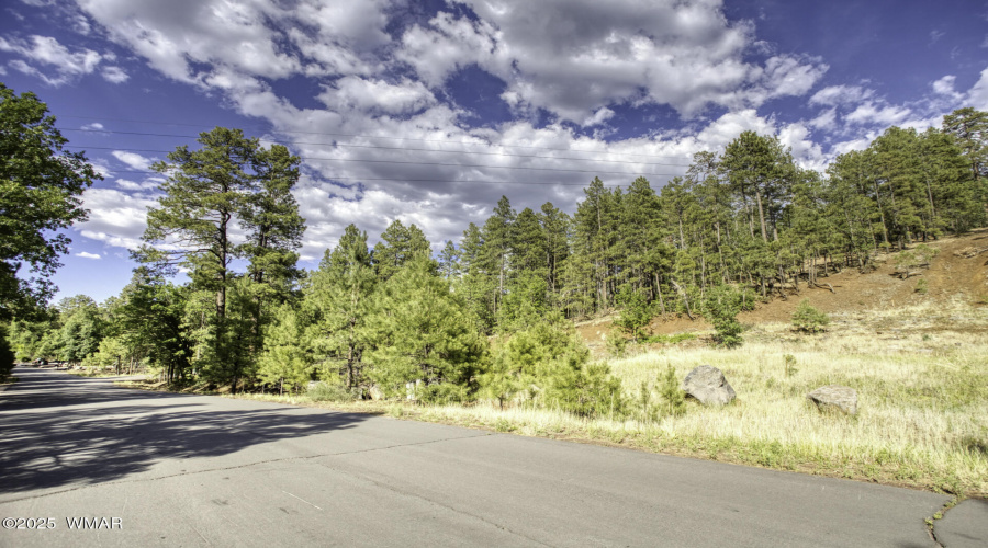 6281 Bent Oak Drive, Pinetop AZ 85935