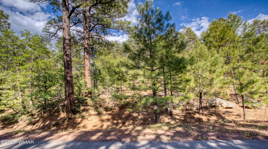 6281 Bent Oak Drive, Pinetop AZ 85935