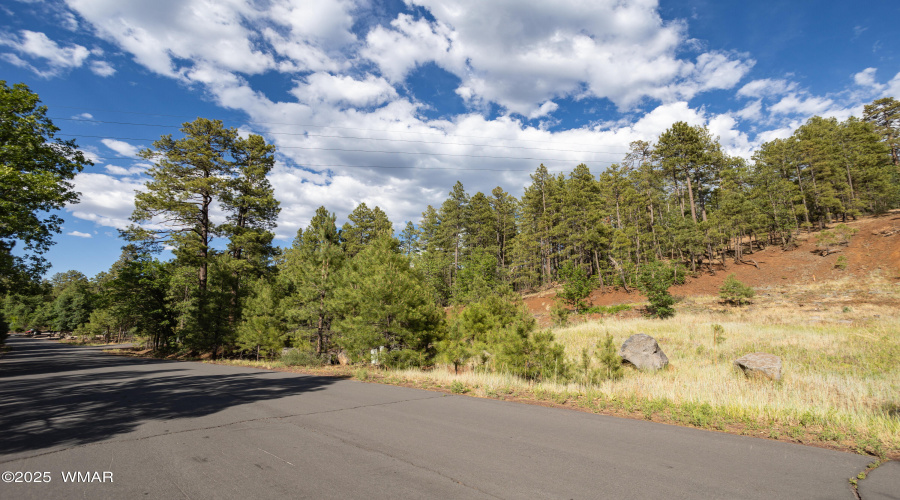 6281 Bent Oak Drive, Pinetop AZ 85935