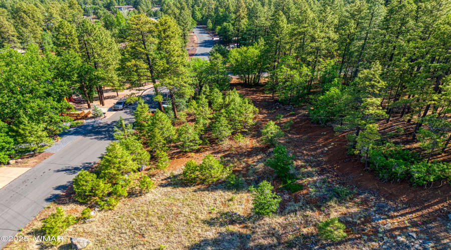 6281 Bent Oak Drive, Pinetop AZ 85935