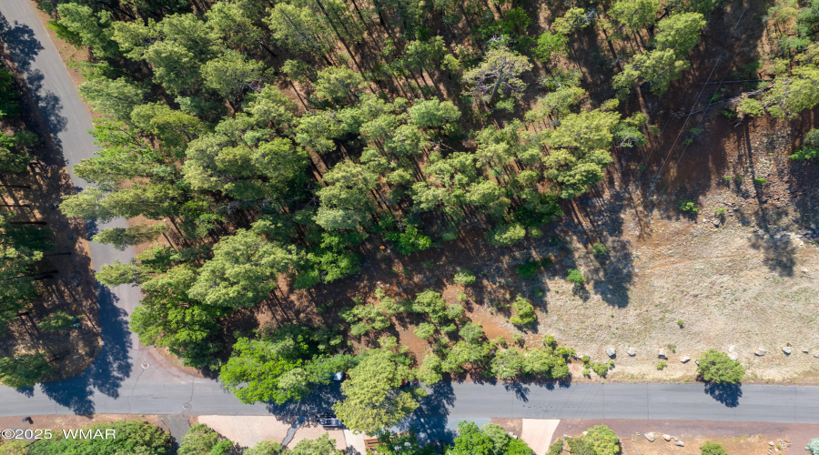 6281 Bent Oak Drive, Pinetop AZ 85935