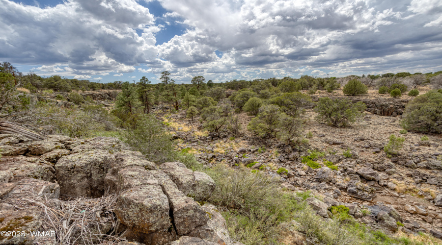 paxmanphotography--9