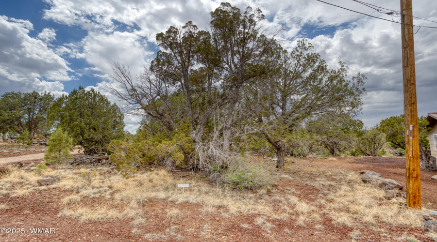 paxmanphotography--5
