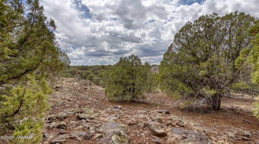 paxmanphotography--6