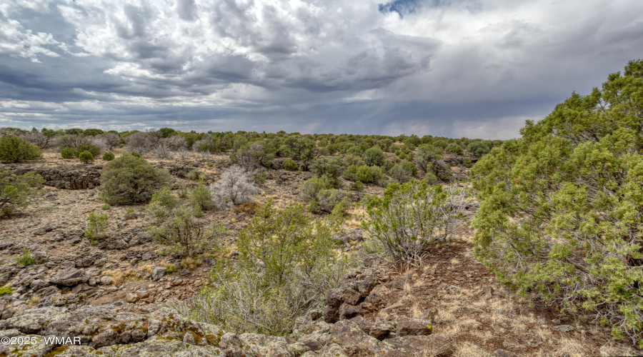 paxmanphotography--7