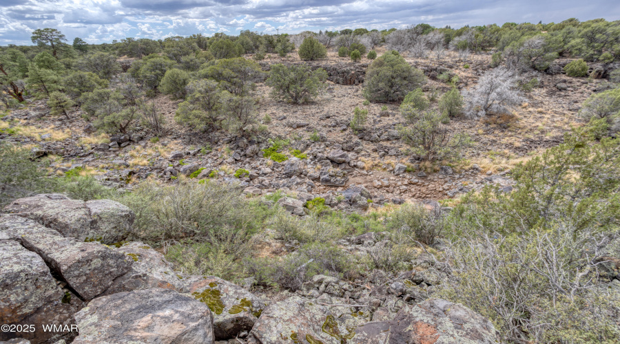 paxmanphotography--8