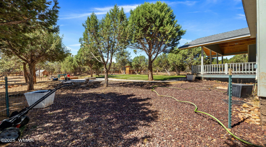 Backyard