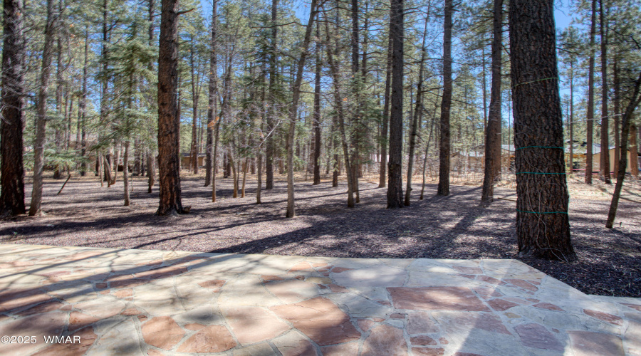 Paxmanphoto_PAX_7653