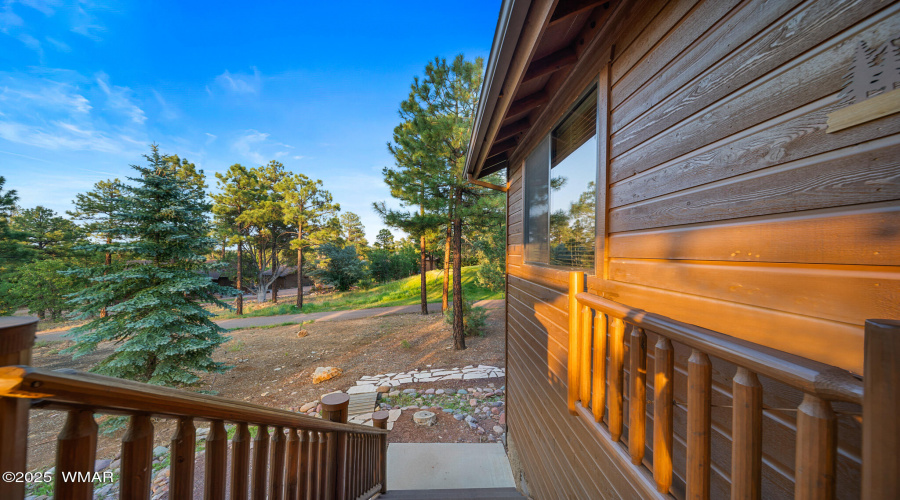 Back Deck Stairs