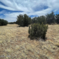 Great land to build on!  Get out of the