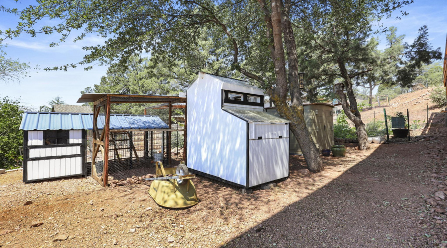 chicken coop 1E0A5559