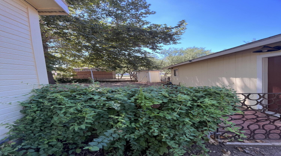 Back yard entry between garage and home