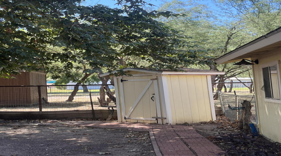 Shed