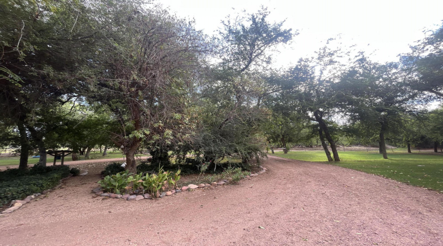 Circular drive