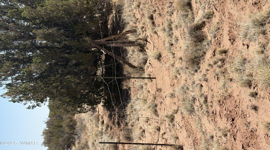Fence
