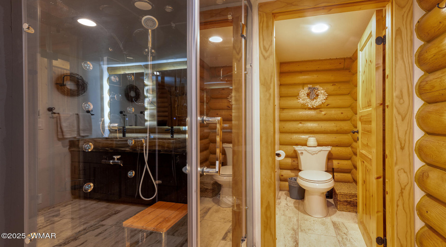 Master sauna shower