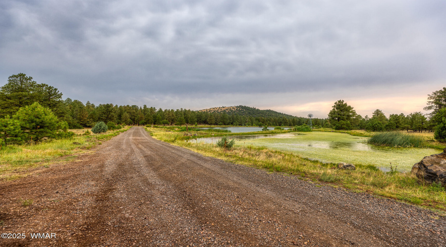 Road past to the pond