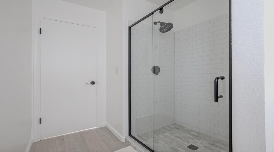 Primary Shower