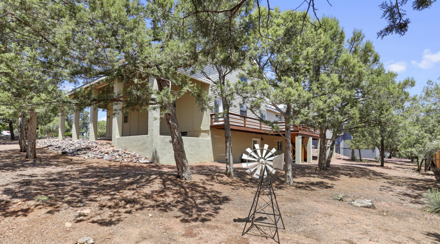 Backyard Area