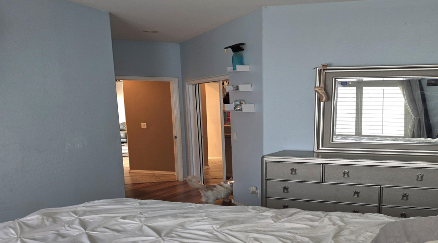Lt Blue Bdrm Closet
