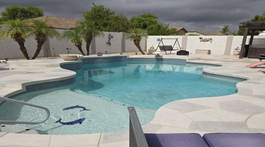 Swimming Pool from Shallow end