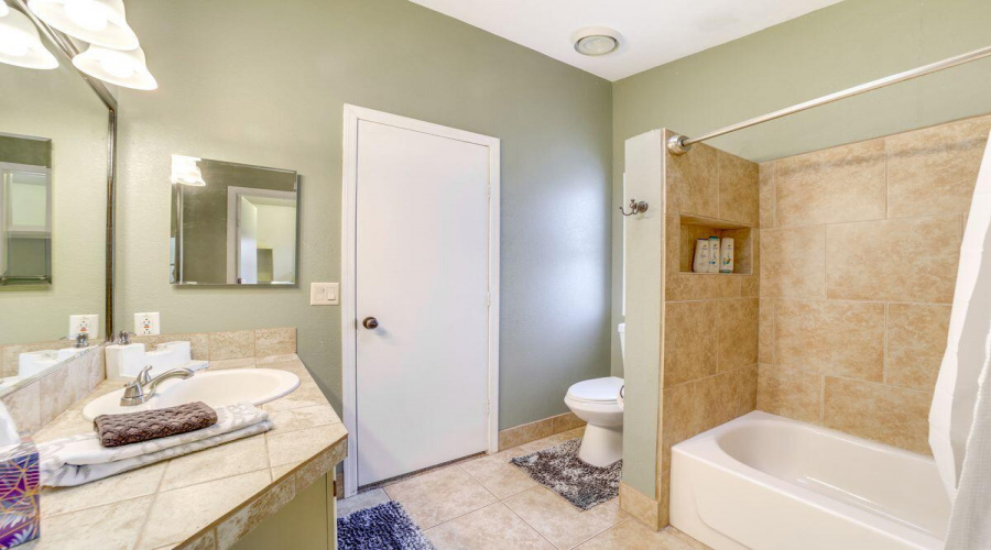 Full Primary bathroom