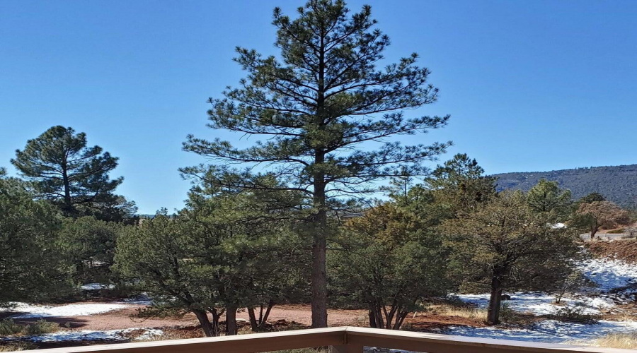 View from Deck - North