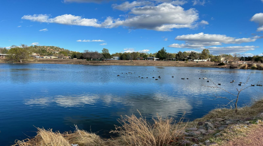Woodland Meadows Lake