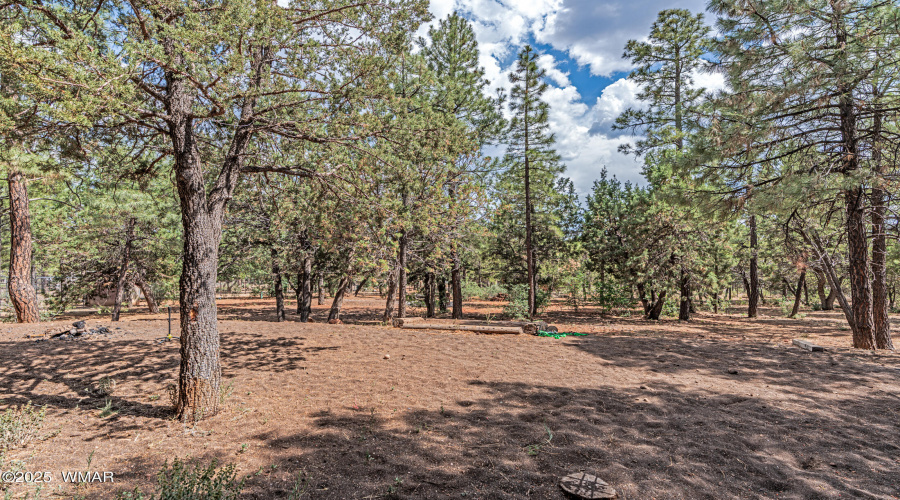 _DSC4177-HDR-Edit