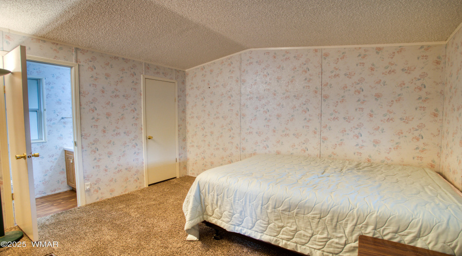 Paxmanphoto_PAX_7930