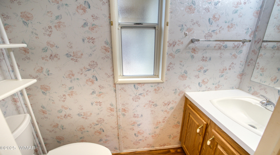 Paxmanphoto_PAX_7933