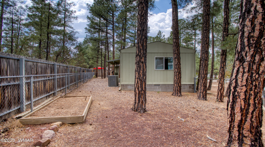 Paxmanphoto_PAX_7921
