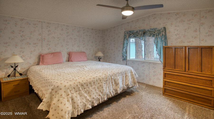 Paxmanphoto_PAX_7947