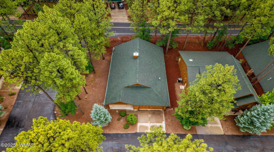 3927ElkHollowDr-Pinetop-AZ-27