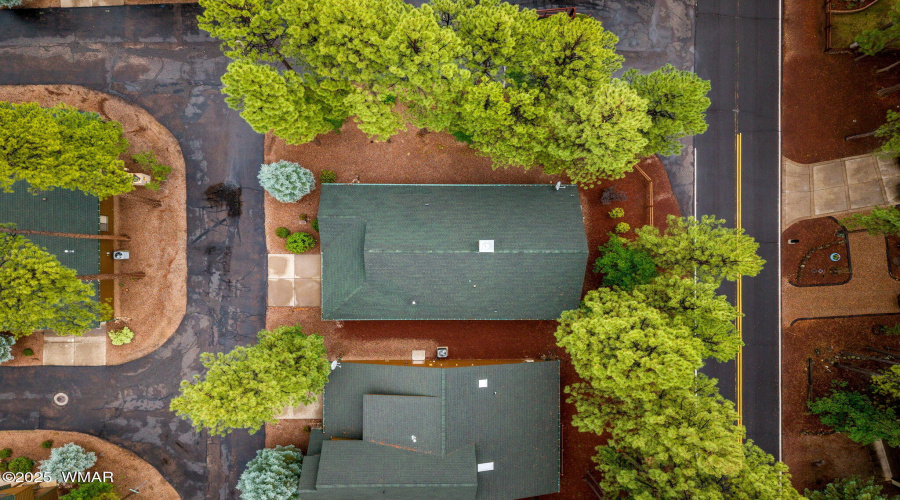 3927ElkHollowDr-Pinetop-AZ-28