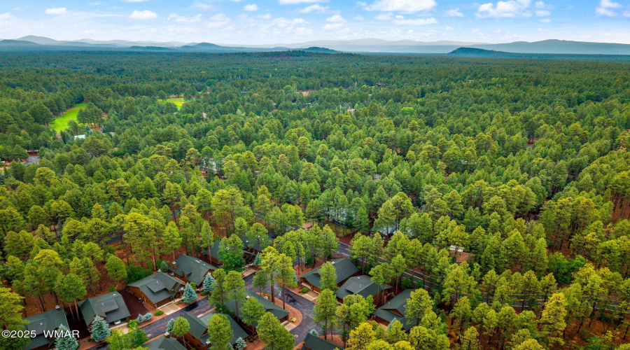3927ElkHollowDr-Pinetop-AZ-29