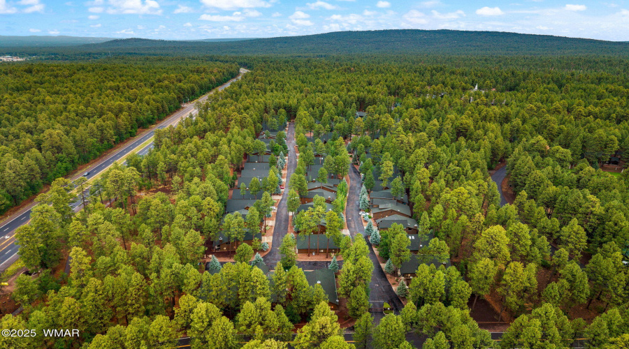 3927ElkHollowDr-Pinetop-AZ-30