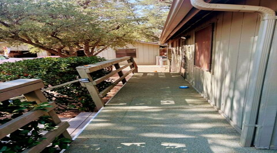 image1 (3)