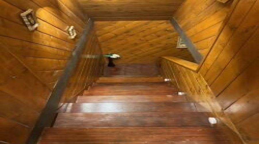 thumbnail_image10 (1)