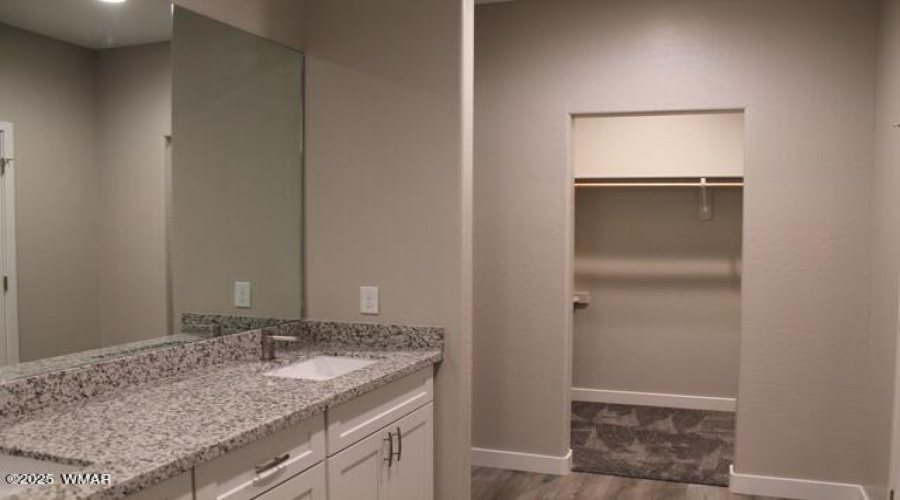 master bath vanity and closet