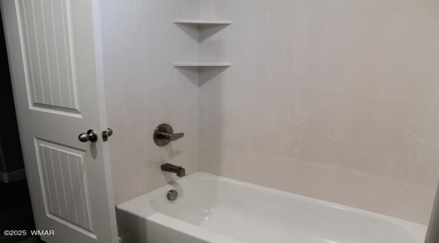 guest bath shower tub