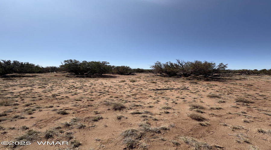 Sandy Ground