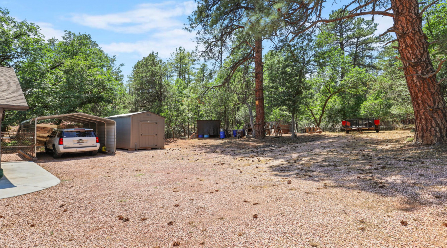 Side Yard -Carport-Shed