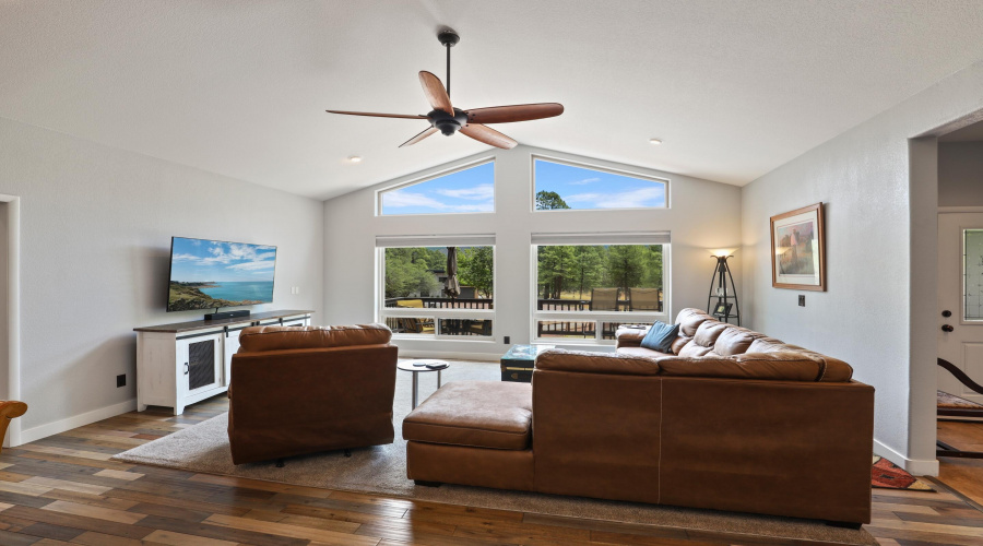 Living Room w View