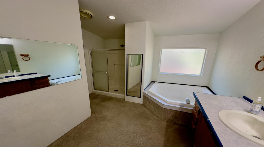 PRIMARY BR BATH