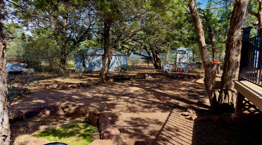 BACK YARD