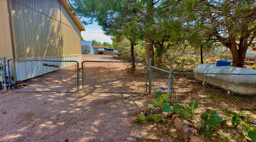 BACK YARD