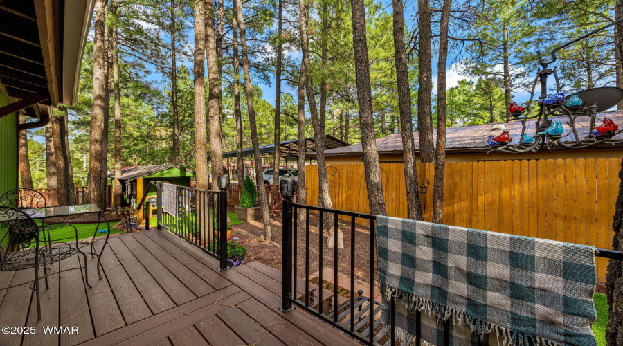 Back deck